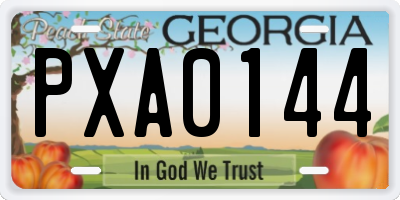 GA license plate PXA0144
