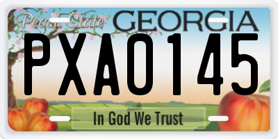 GA license plate PXA0145