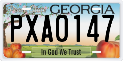 GA license plate PXA0147