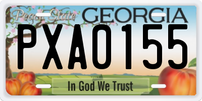 GA license plate PXA0155