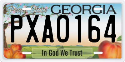 GA license plate PXA0164