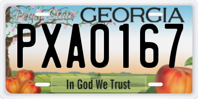 GA license plate PXA0167