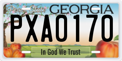 GA license plate PXA0170