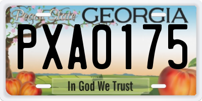 GA license plate PXA0175