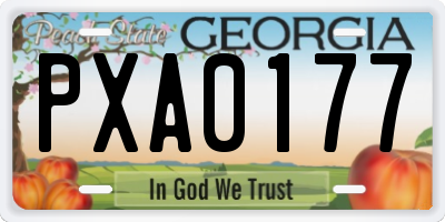 GA license plate PXA0177