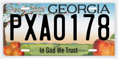 GA license plate PXA0178