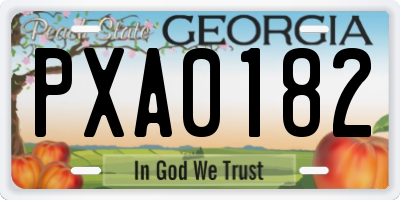 GA license plate PXA0182
