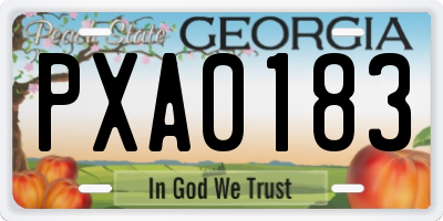 GA license plate PXA0183