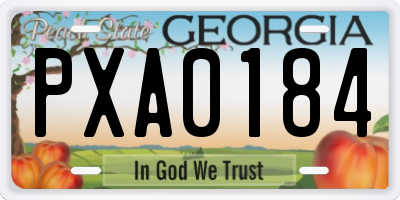 GA license plate PXA0184