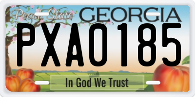 GA license plate PXA0185