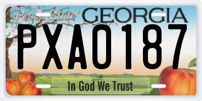GA license plate PXA0187