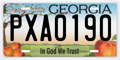 GA license plate PXA0190