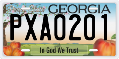 GA license plate PXA0201