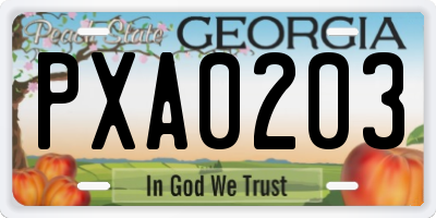 GA license plate PXA0203