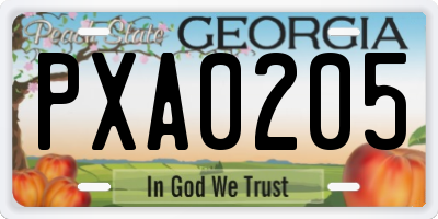GA license plate PXA0205