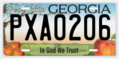 GA license plate PXA0206