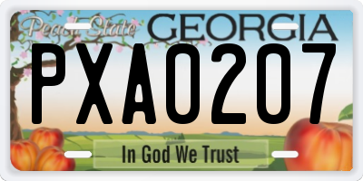 GA license plate PXA0207