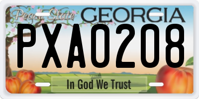 GA license plate PXA0208