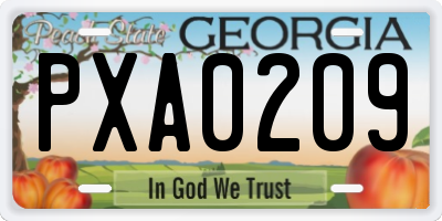 GA license plate PXA0209