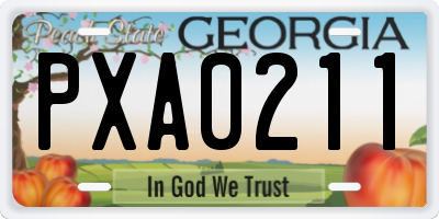 GA license plate PXA0211