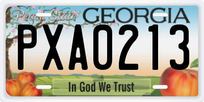 GA license plate PXA0213