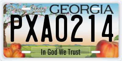 GA license plate PXA0214