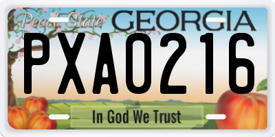 GA license plate PXA0216