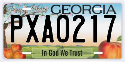 GA license plate PXA0217