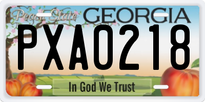 GA license plate PXA0218