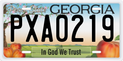 GA license plate PXA0219