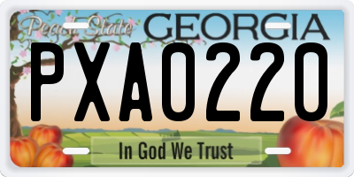 GA license plate PXA0220