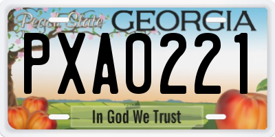 GA license plate PXA0221