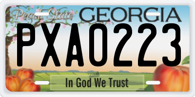 GA license plate PXA0223