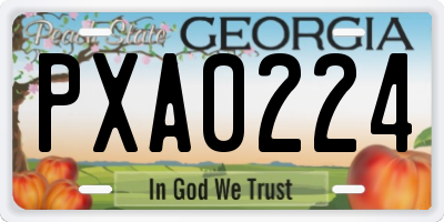 GA license plate PXA0224
