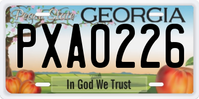 GA license plate PXA0226