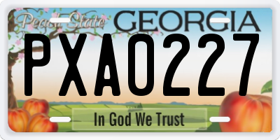 GA license plate PXA0227