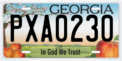 GA license plate PXA0230