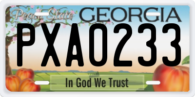 GA license plate PXA0233