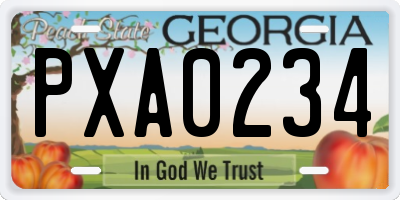 GA license plate PXA0234