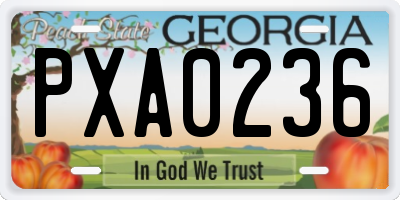 GA license plate PXA0236