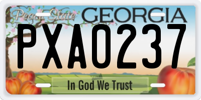GA license plate PXA0237