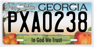 GA license plate PXA0238