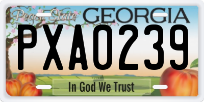 GA license plate PXA0239