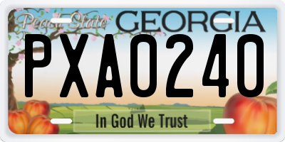 GA license plate PXA0240