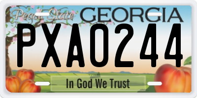 GA license plate PXA0244