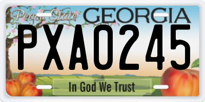GA license plate PXA0245