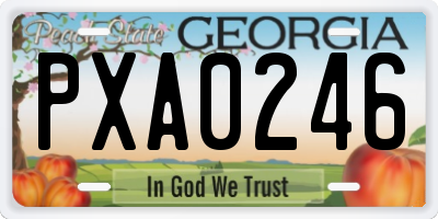 GA license plate PXA0246