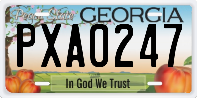 GA license plate PXA0247