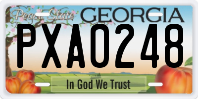 GA license plate PXA0248