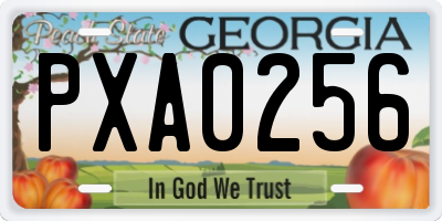 GA license plate PXA0256
